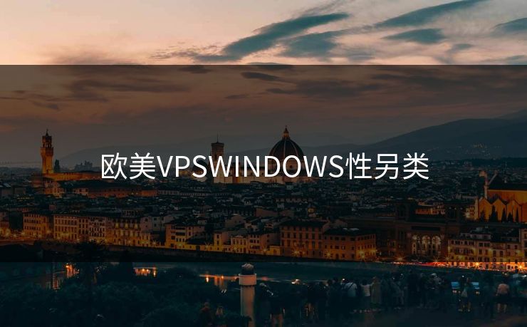 欧美VPSWINDOWS性另类