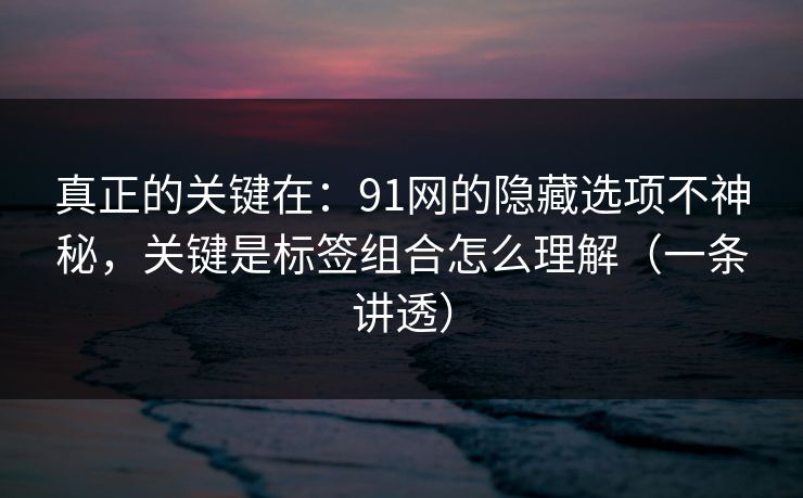 真正的关键在：91网的隐藏选项不神秘，关键是标签组合怎么理解（一条讲透）